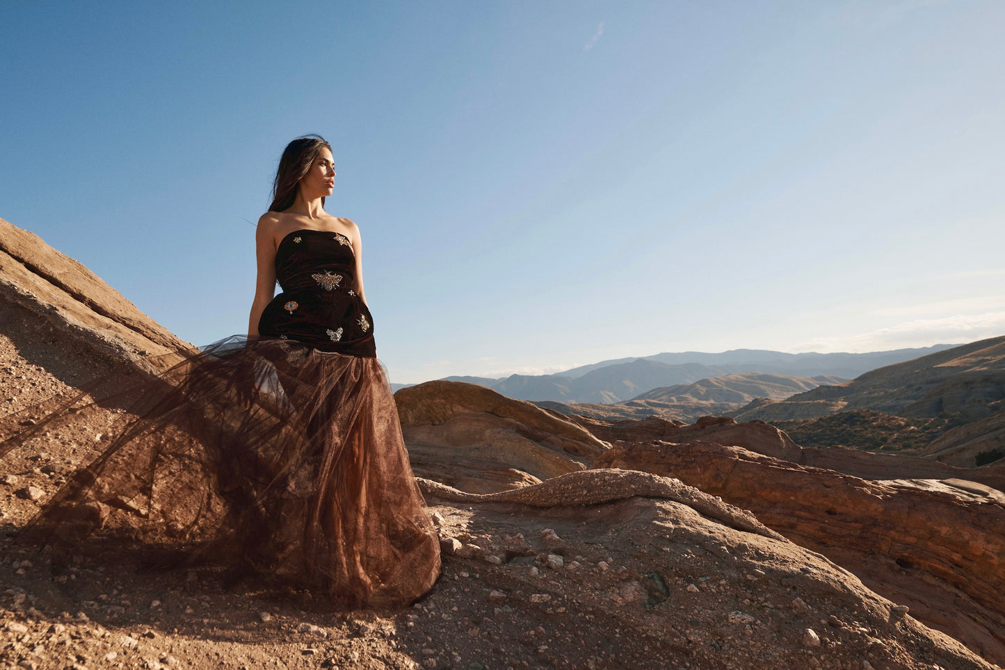 CELESTIAL TULLE SKIRT