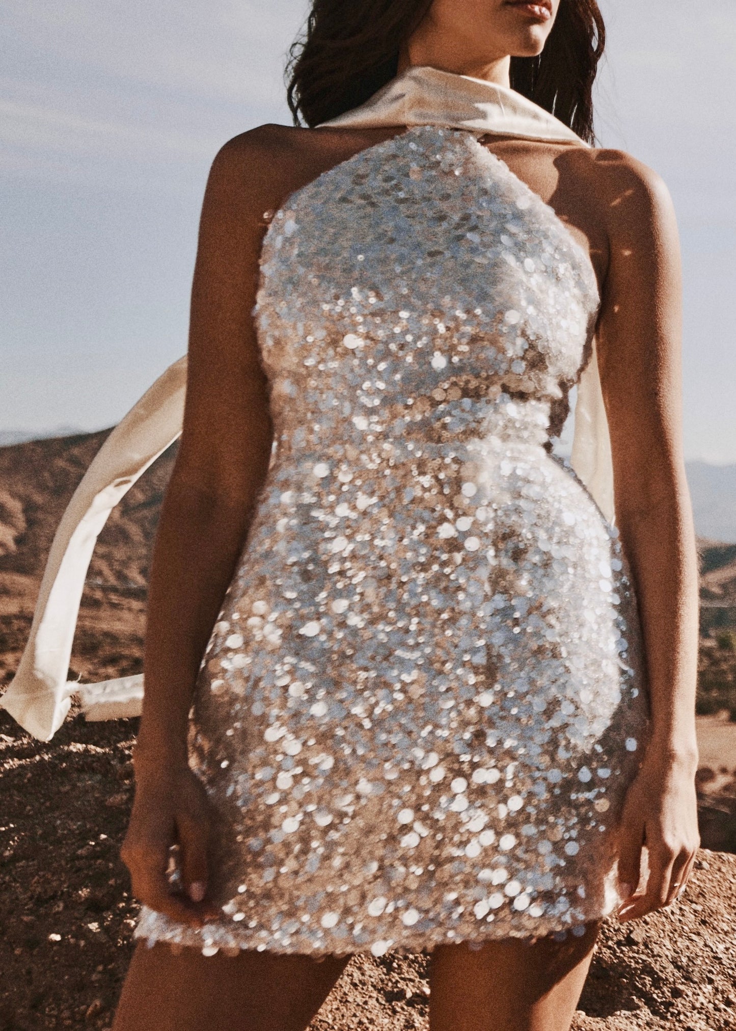 SWAN SEQUIN DRESS